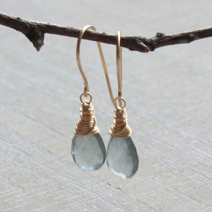 Labradorite Faceted Wire Wrapped Hook Earrings | Handmade
