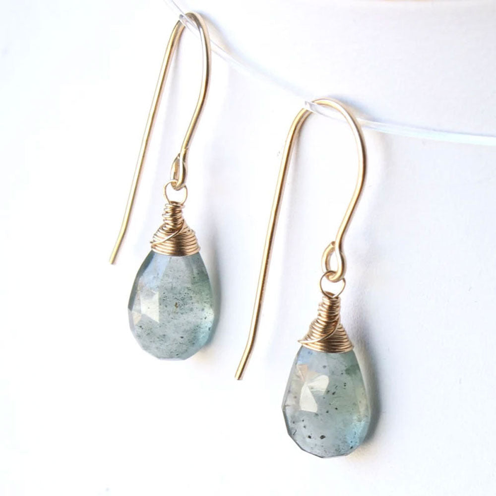 Labradorite Faceted Wire Wrapped Hook Earrings | Handmade