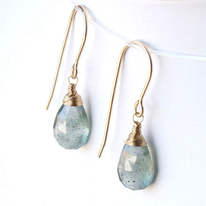 Labradorite Faceted Wire Wrapped Hook Earrings | Handmade