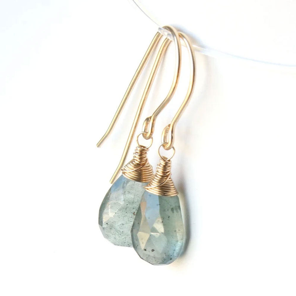 Labradorite Faceted Wire Wrapped Hook Earrings | Handmade